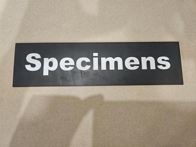 Specimens Door Sign 9.5"x2.5"