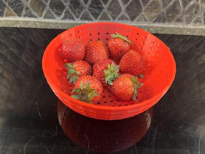 Thick Walled Colander