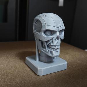Terminator Skull