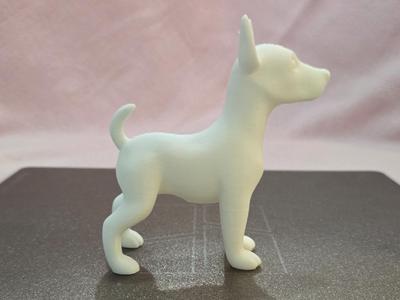 Alert Standing Dog