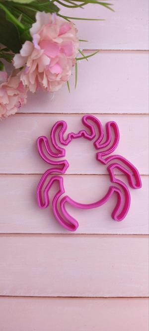 Spider halloween cutter