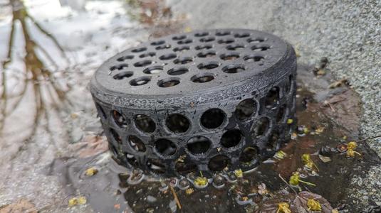 Roof drain leaf guard (dirt protection)