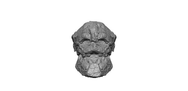 Stone Golem head