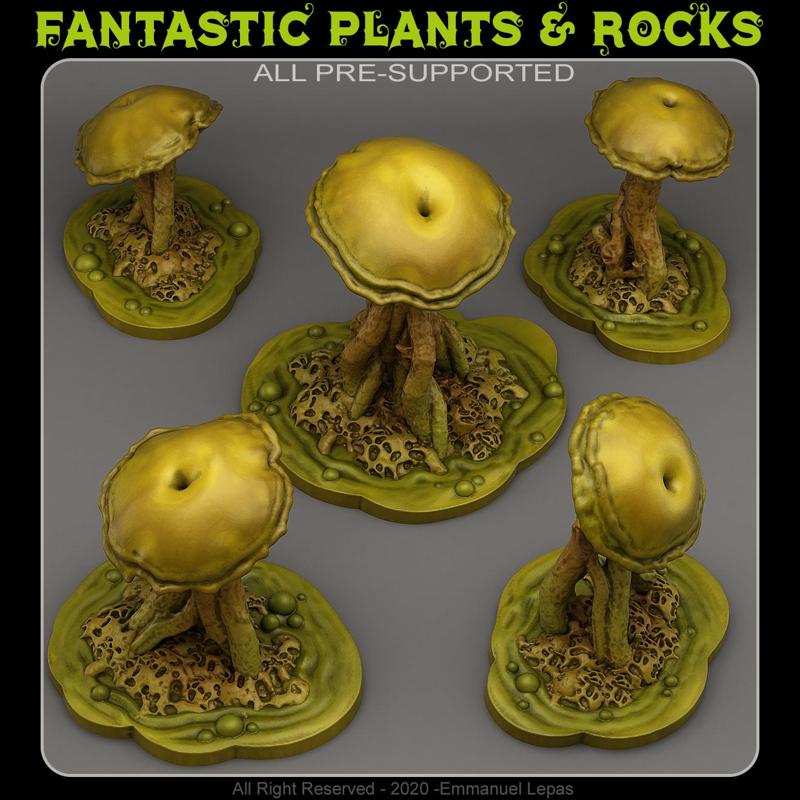 POISONOUS SWAMP MUSHROOMS