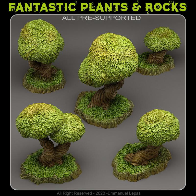 MAJESTIC ENCHANTED TREES (Fantastic Plants & Rocks)