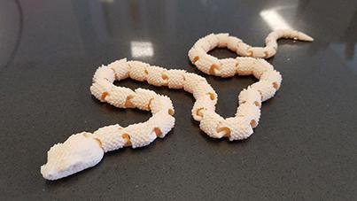 Snake with Scales version2