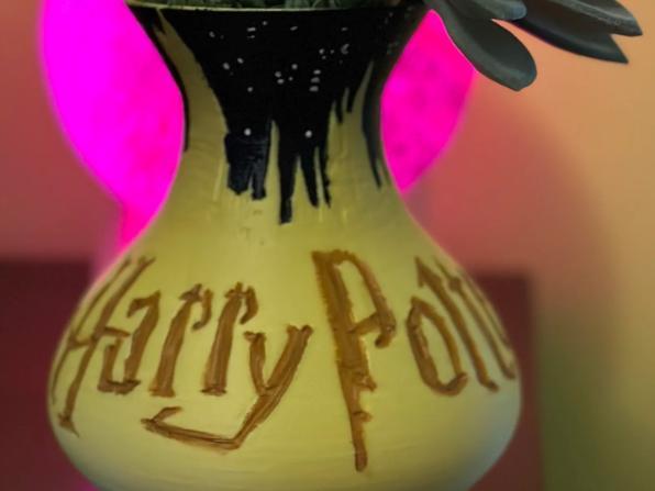 Harry Potter Litho Vase Flower holder container