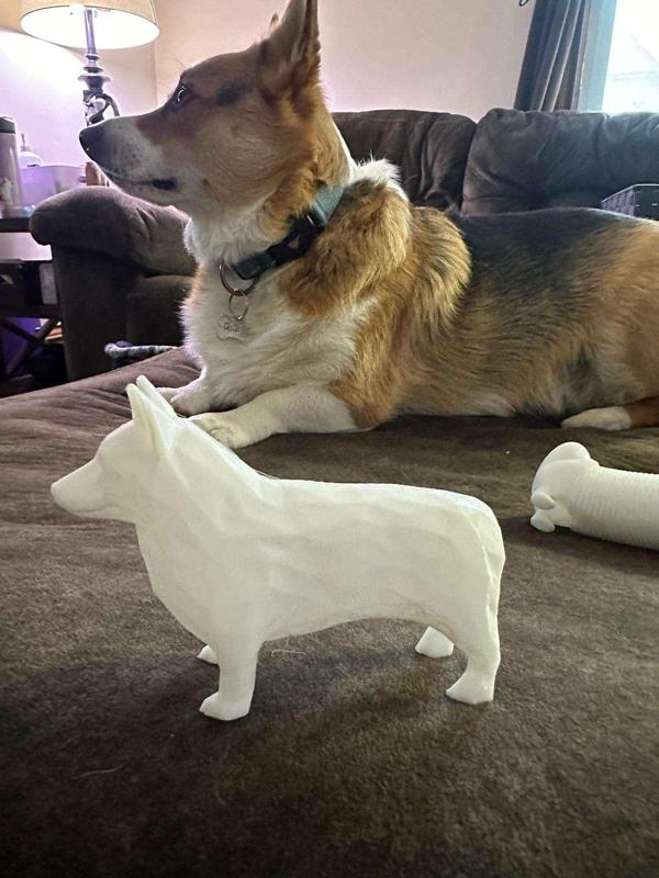 Low Poly Corgi Miniature (No Tail)