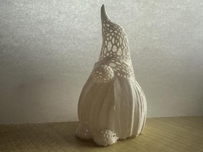 Voronoi Gnome