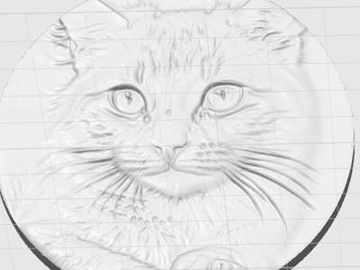 cat photo 3d