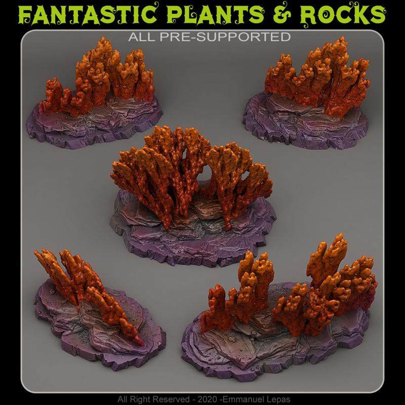 VENUSIAN CORALS