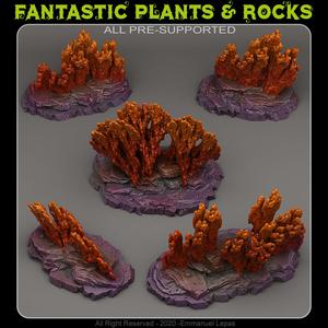 VENUSIAN CORALS