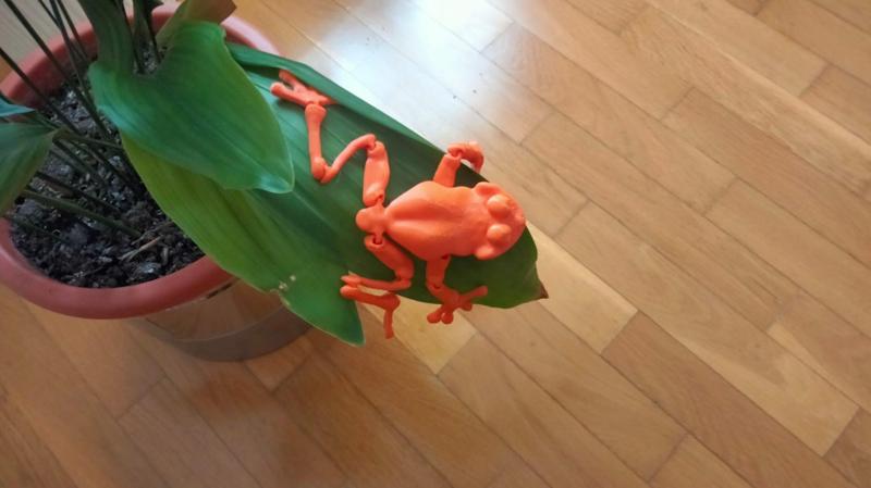 Cute ranita flexible articulada tiempo limitado