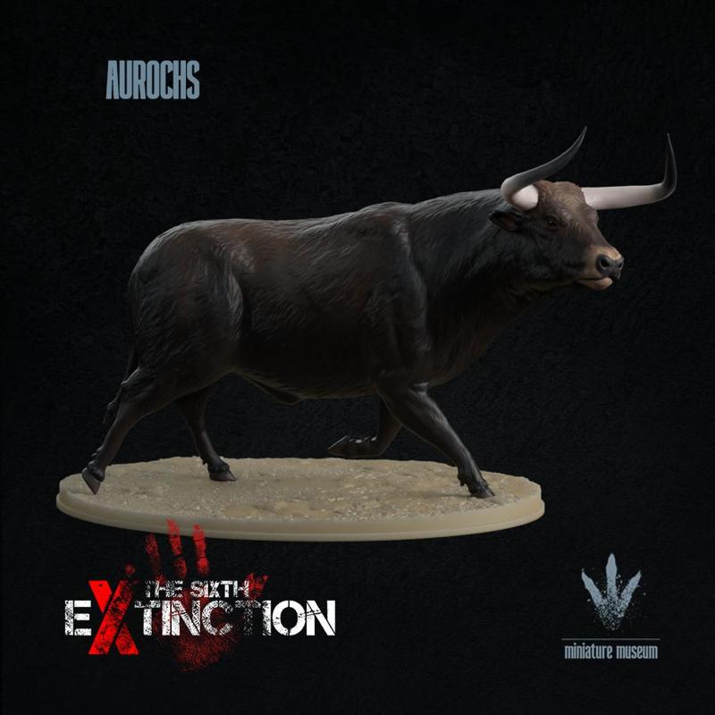 Aurochs : Running