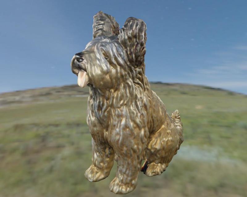 Briard Berger de Brie