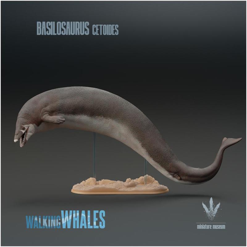 Basilosaurus cetoides : The King Lizard