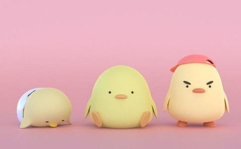 Cute chickens