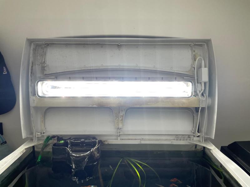 aquarium lamp phillips hue