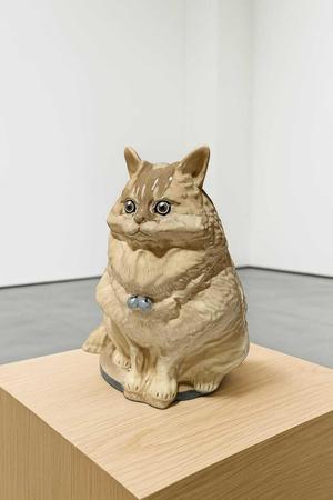 Ragamuffin Cat / Persian Cat / Ragdoll