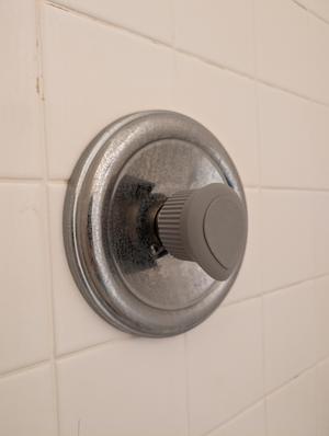 Shower Handle Replacement
