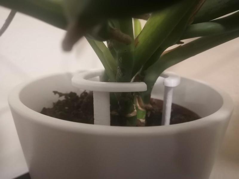 Plant support