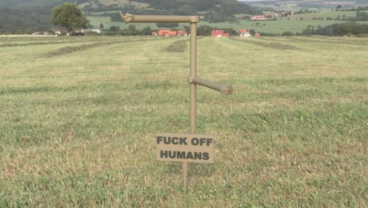 Plant support stake with middle fingers