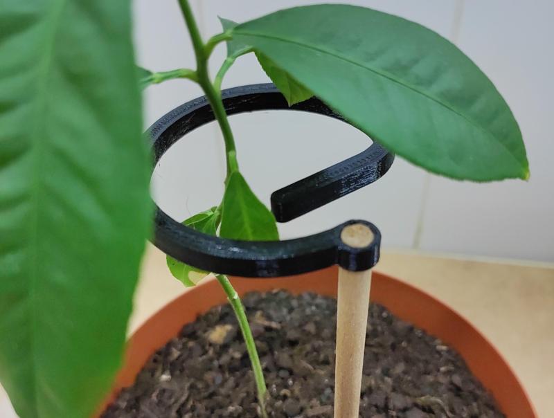 Planar plant support