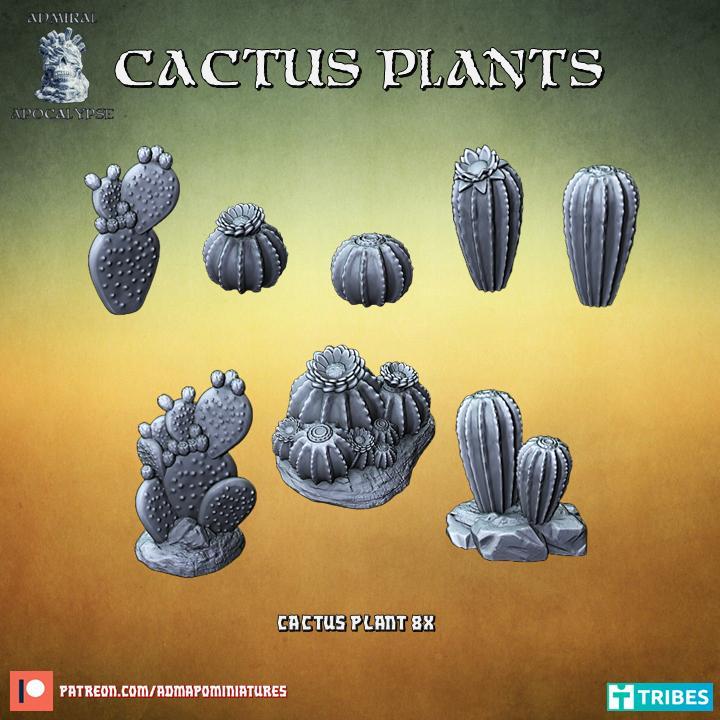 Cactus Plants (pre-supported)