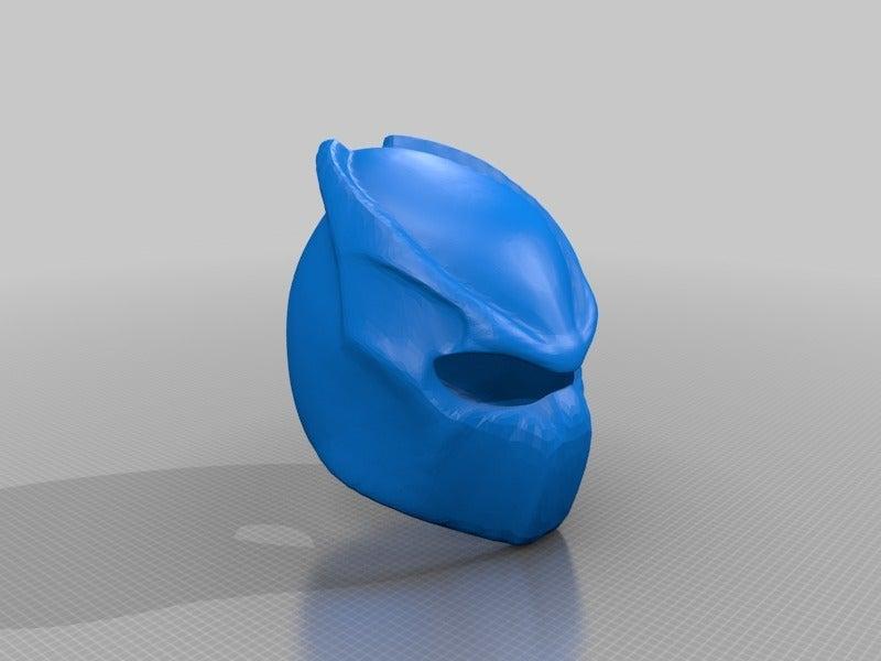 Predator Motrcycle Helmet