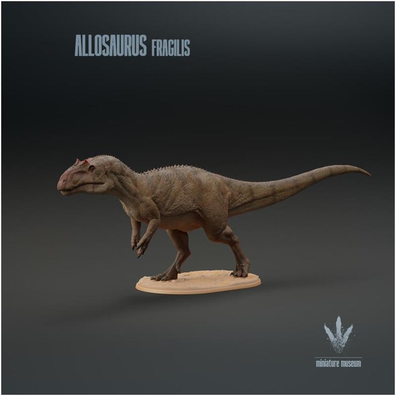 Allosaurus fragilis : The Jurassic Terror