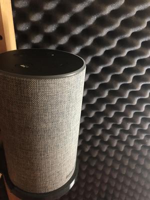 Amazon echo (GEN 2) mount