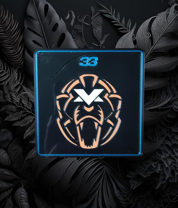 Coaster_Verstapen_Logo