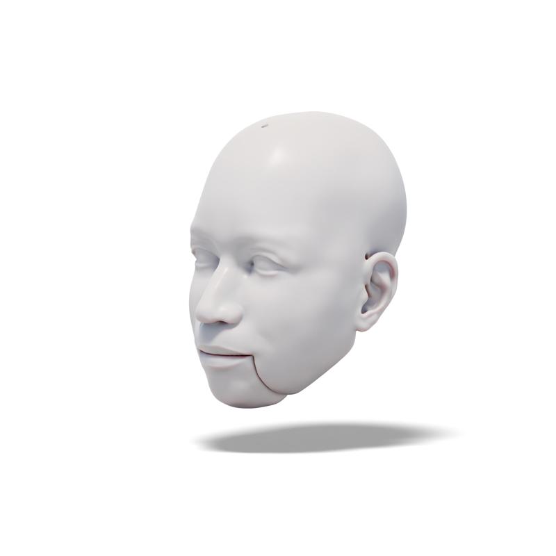 Charming Man, 3D model of head (for doll, marionette, puppet)