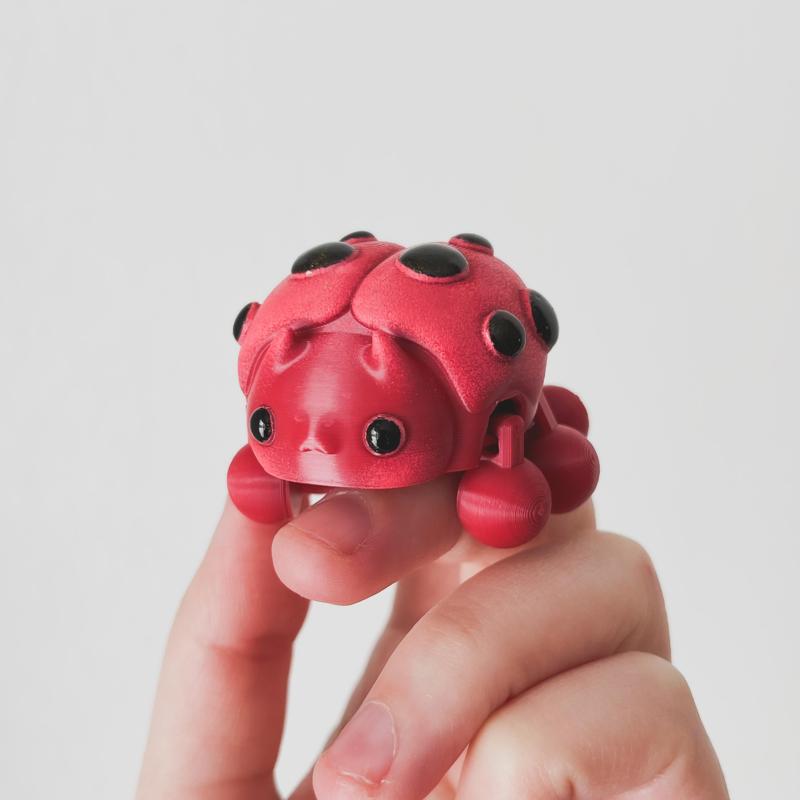 Ladybug Flexi