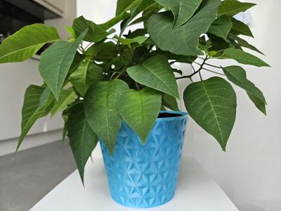 plant pot - vase - triangle pattern