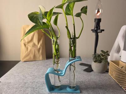 Propagation test tube holder