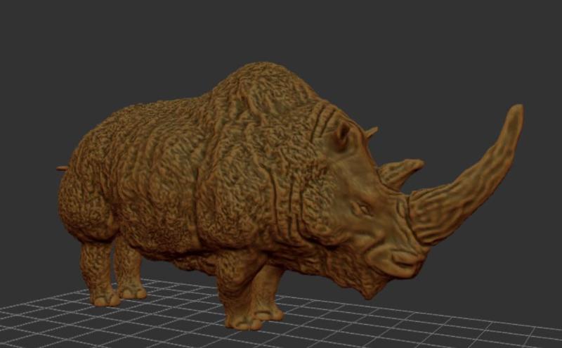 Coelodonta Antiquatata