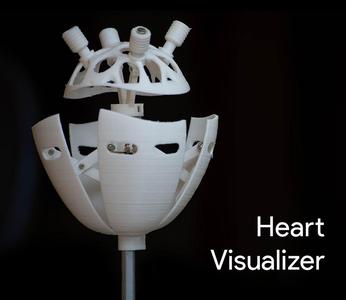 Heart Visualizer | See your heart beat