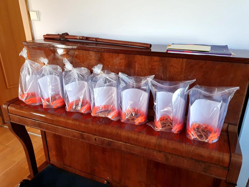 Prusa Shield Simplified A4 Hex Holes