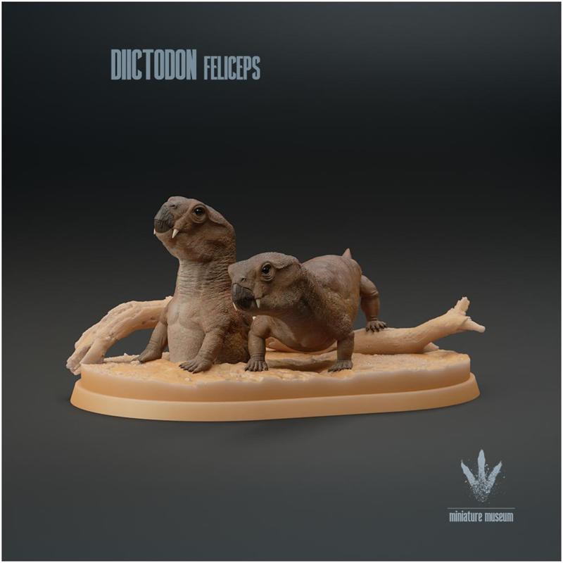 Diictodon feliceps : Family