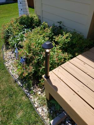 ring pathlight flush mount