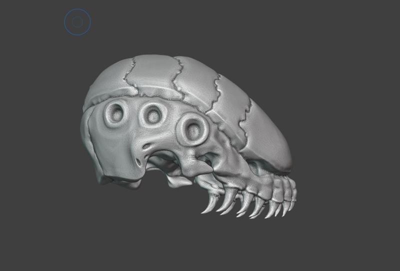 craneo Xeno