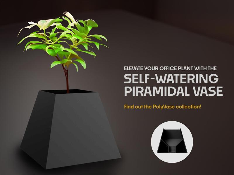 Self-Watering PiramidalVase