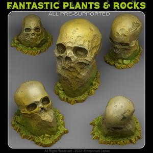 GIANT SKULL STONES