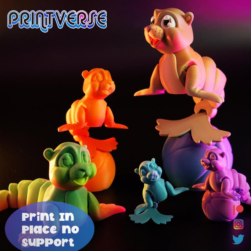 Flexy Print In Place Cute Sea Lion