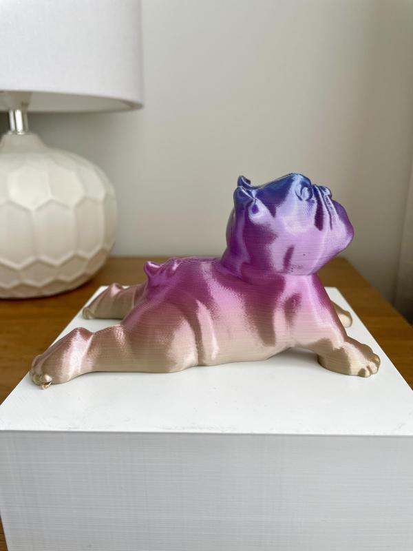 English Bulldog Yoga Pose 3