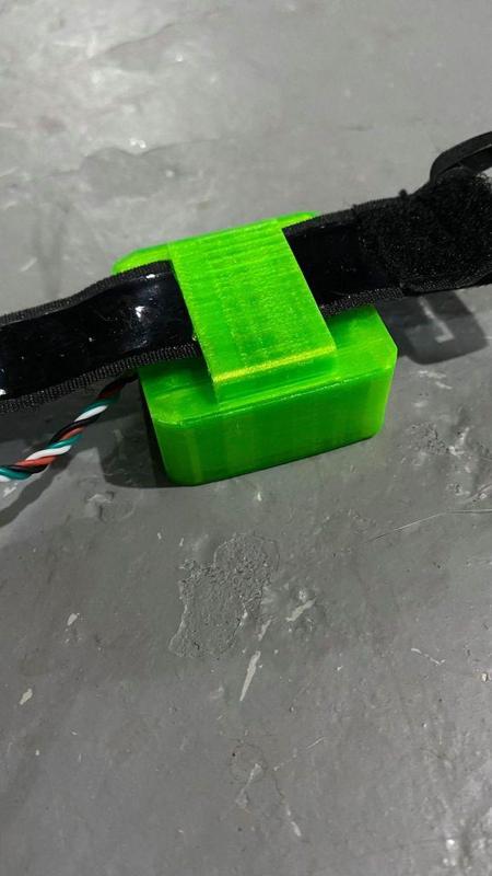 Brain gps lipostrap mount