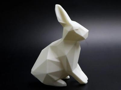 Geometric Rabbit