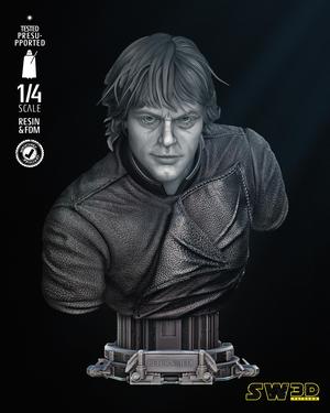LUKE SKYWALKER BUST PORTRAIT - TESTED AND READY FOR 3D PRINTING