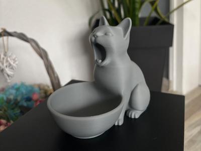 Yawning Cat Bowl
